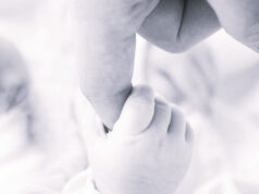 Приказната за Брижит Бардо и синот што не го посакувала: се помириле дури во подоцнежните години