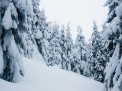Насјтудено на Шапка, утрово измерени -14 степени