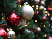 Голема колку 30 фудбалски игралишта: најголемата елка во светот, која е регистрирана во Гинисовата книга на рекорди