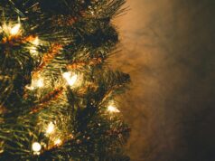 (Фото) „Гола“ елка во дом од 23 милиони долари: Сите зборуваат за новогодишните украси на Кендал Џенер