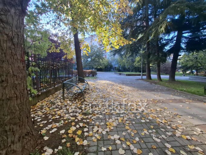 esen-lisja-klupa-nasha-2