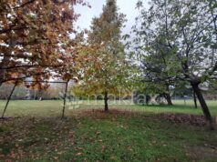 Претпладне магла, во текот на денот сончево со мала облачност