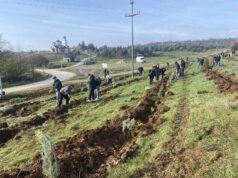 Општина Илинден: Успешно спроведена акцијата за пошумување