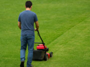 Драма на Балканец во Германија: Косел трева кај комшија за 50 евра, сега стравува за својата судбина и ги предупредува сонародниците