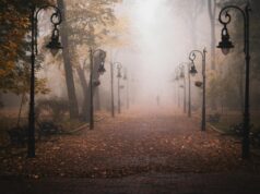 Магла во утринските часови, сончево со умерена облачност преку ден