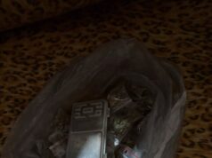 Уапсен 27-годишен штипјанец: при претрес пронајдена марихуана