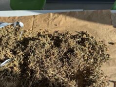 Претрес во гевгелиско: пронајдена дрога и откриена импровизирана лабораторија