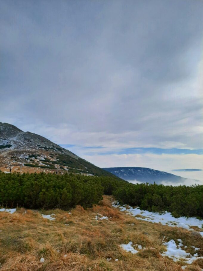 planina-yuliia-zhyvotok-avvdm4ya7js-unsplash