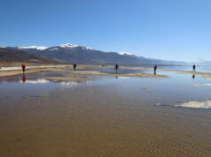 Првите подводни археолошки истражувања во Преспанското Езеро открија редок органски материјал