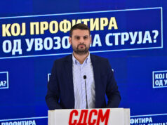 (Видео) „100 милиони евра загуба – кој профитира од увозот на струја“, прашува Димитријевиќ