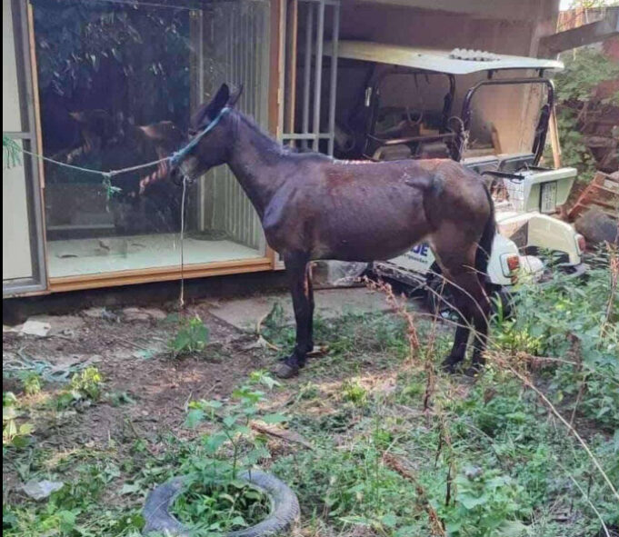 screenshot-2025-12-10-094528