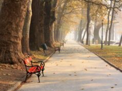 Утре, во утринските часови наместа со појава на магла, во текот на денот сончево со умерена облачност