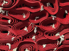 Со комбе полно со теписи фатен кај Дебрца – MВР поднесе кривична за скопјанец