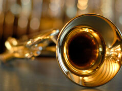 Екс-ју земја забрани трубачи до крајот на декември: „Балканската музика нема врска со нас“