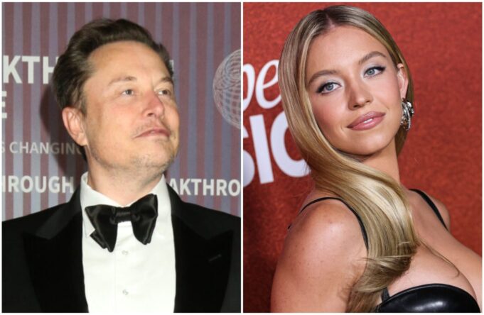 ilon-mask-sidni-svini-depozitfotos