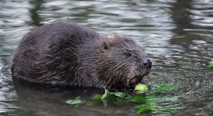 screenshot-2025-12-07-160813