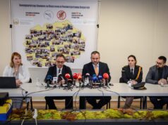 Запленети над 252.000 парчиња пиротехника и поднесени 37 кривични пријави, кажа Тошковски