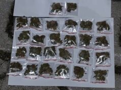 Пронајдена дрога во тетовско, уапсени две лица