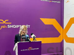 АА: Нема да дозволиме преку политички маневри да се укине институционалната застапеност на Албанците