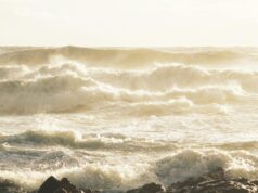 (Видео) Апокалиптични сцени од Турција: силен ветер уништи објекти