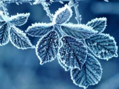 Утрово најстудено во Струмица