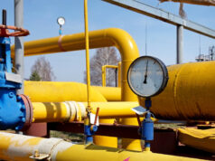 ЕУ целосно го забрани увозот на руски гас, две земји гласаа против