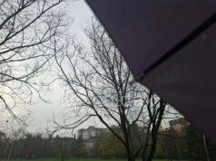 Утре претпладне претежно облачно, кон крајот на денот и во текот на ноќта со врнежи од дожд