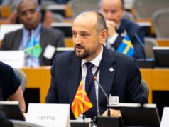 Кој се плаши од внатрешниот дијалог во партиите?