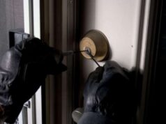 Уапсени крадци од Куманово и кумановско, следуваат соодветни пријави