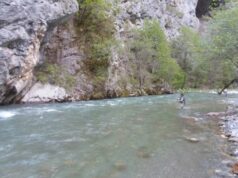 Сезоната за спортски риболов на водите во НП „Маврово“ почнува од утре