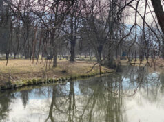 Сончево време со мала до умерена облачност, температурата до 10 степени