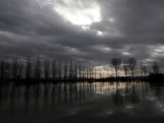 Поплави во Драч: евакуирани 180 лица, поплавени околу 800 домови