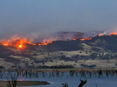 (Фото+видео) Катастрофа во Викторија: беснеат стотици пожари, уништени куќи, илјадници без струја