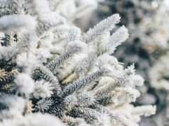 Продор на постуден воздух, температурите ќе бидат во опаѓање