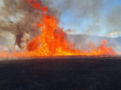 Пожар во струмичко, поради силниот ветер огнот брзо се раширил