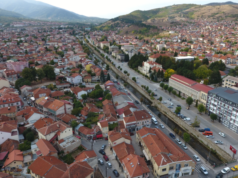 Битолчанец пријавен за обид за убиство на своите деца и напад врз полицајци