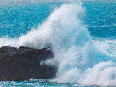 (Видео) „Бранови како трокатна куќа, никогаш не сум видел нешто вакво“: Силна бура ја погоди Далмација, улиците под вода, жителите во очај