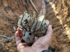 Гостиварец пронашол експлозивни направи под карпа покрај река