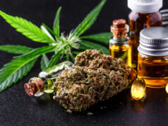 Лиценците беа параван за милионски бизнис – Единствена Македонија предлага државата да го преземе одгледувањето марихуана