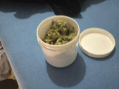 (Фото) Претрес во Гостивар, пронајдена дрога, уапсен 34-годишник