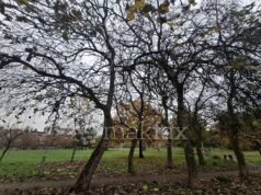 Утре променливо облачно време, попладне дожд