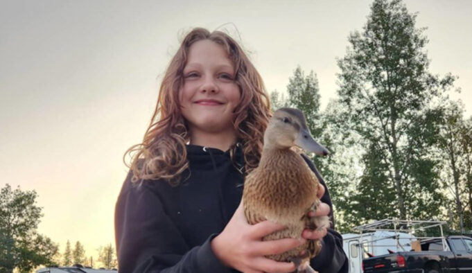 screenshot-2026-02-12-090847