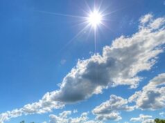 Утре сончево со мала локална облачност, во наредните денови температурите во пораст