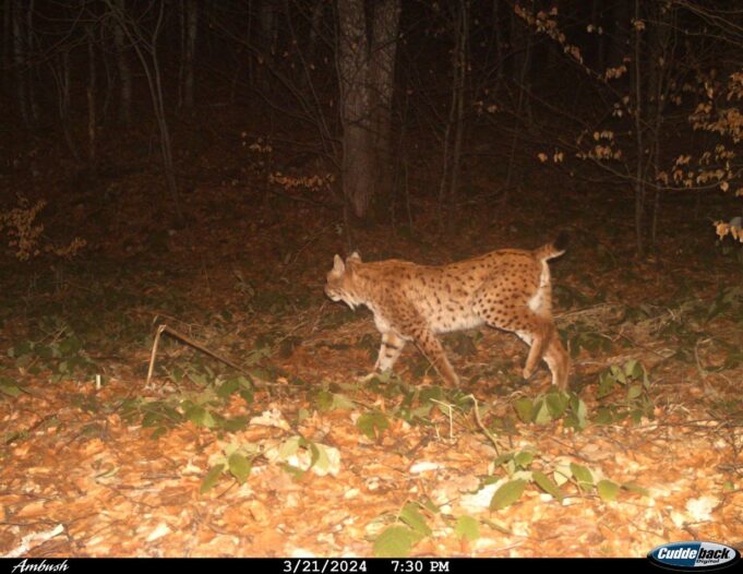 468083165_18259321048255066_6591033063012407066_n