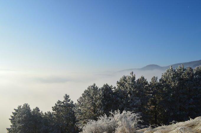 utro-zima-studeno-maria-hada-kf5-8rwxs6g-unsplash