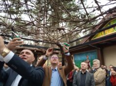 Трипуновски: Нема кратење на субвенции, но приоритет ќе добијат вистинските земјоделци