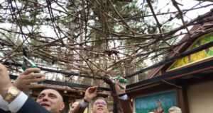 Трипуновски: Нема кратење на субвенции, но приоритет ќе добијат вистинските земјоделци