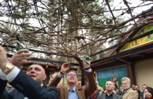 Трипуновски: Нема кратење на субвенции, но приоритет ќе добијат вистинските земјоделци