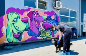 Иницијатива за привремено згрижување на бездомни кучиња на ЈП „Лајка“