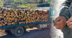 Кривична пријава против три лица, го оштетиле буџетот на ЈП „Национални шуми“ за над три милиони денари